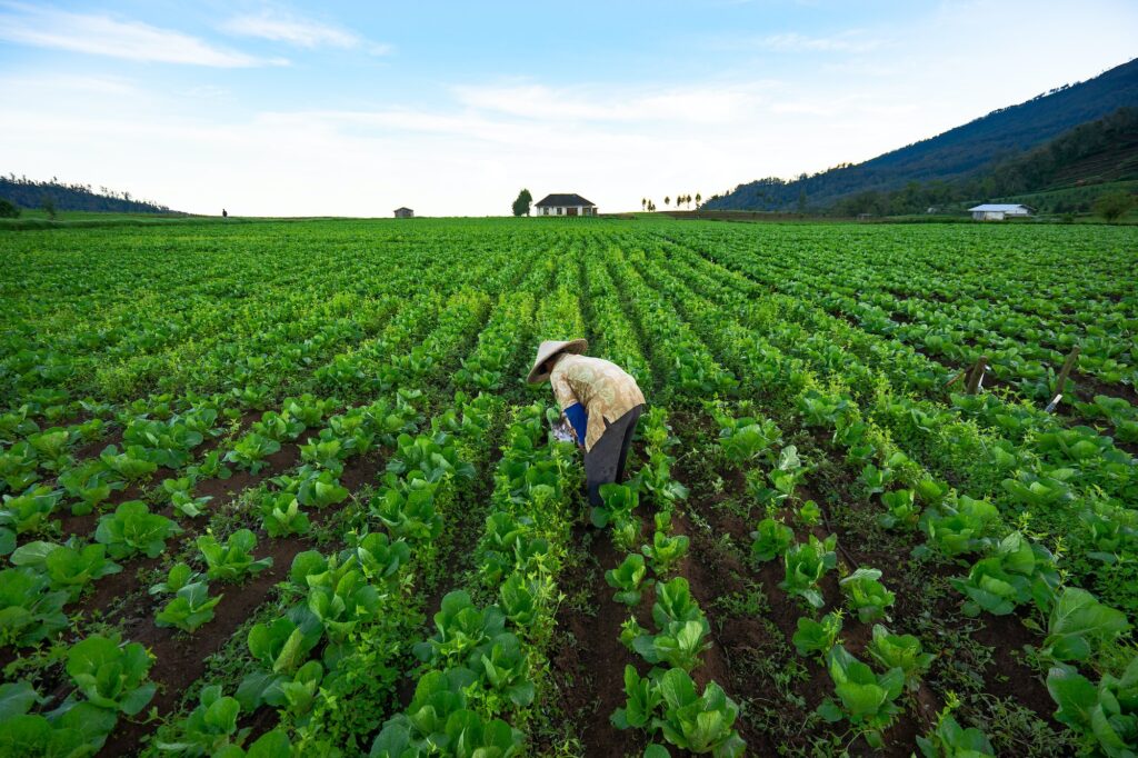 Digital platforms for SMEs and Smallholder farmers-SIA360-1